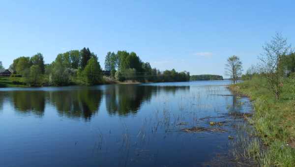 Усадьба Боровно